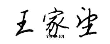 王正良王家望行書個性簽名怎么寫