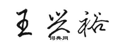 駱恆光王興裕行書個性簽名怎么寫