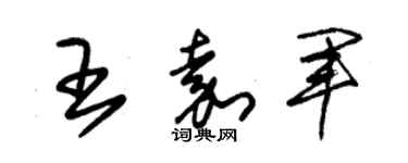 朱錫榮王嘉軍草書個性簽名怎么寫