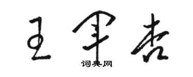 駱恆光王軍杏草書個性簽名怎么寫