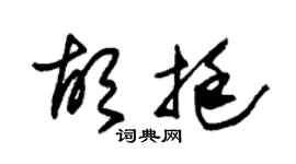 朱錫榮胡挺草書個性簽名怎么寫