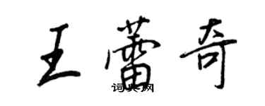 王正良王蕾奇行書個性簽名怎么寫