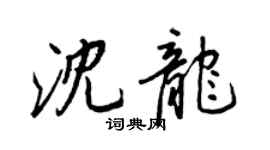 王正良沈龍行書個性簽名怎么寫