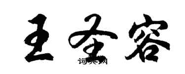 胡問遂王聖容行書個性簽名怎么寫