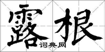 翁闓運露根楷書怎么寫