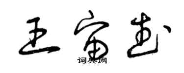 曾慶福王宙武草書個性簽名怎么寫