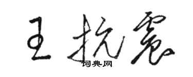 駱恆光王抗震草書個性簽名怎么寫