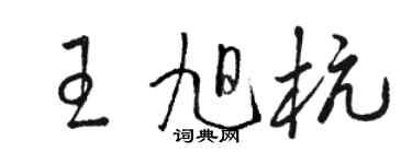 駱恆光王旭杭草書個性簽名怎么寫