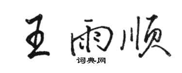 駱恆光王雨順行書個性簽名怎么寫