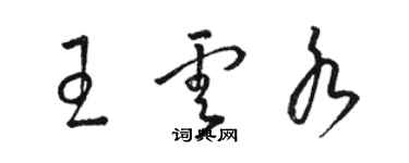 駱恆光王雲水草書個性簽名怎么寫