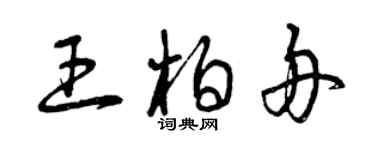 曾慶福王柏舟草書個性簽名怎么寫