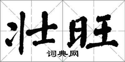 翁闓運壯旺楷書怎么寫