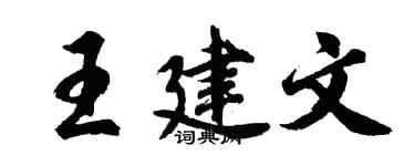 胡問遂王建文行書個性簽名怎么寫