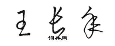 駱恆光王長年草書個性簽名怎么寫