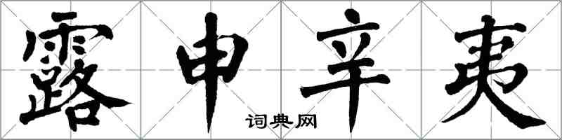 翁闓運露申辛夷楷書怎么寫