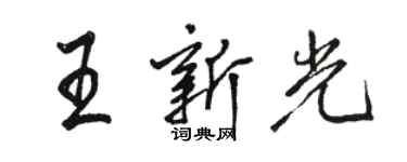 駱恆光王新光行書個性簽名怎么寫