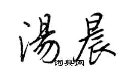 王正良湯晨行書個性簽名怎么寫