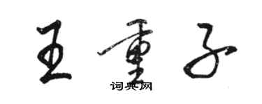 駱恆光王重子行書個性簽名怎么寫