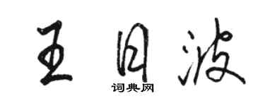 駱恆光王日波行書個性簽名怎么寫