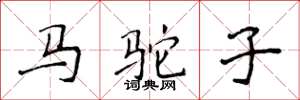 侯登峰馬駝子楷書怎么寫