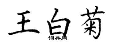 丁謙王白菊楷書個性簽名怎么寫