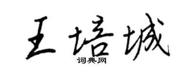 王正良王培城行書個性簽名怎么寫