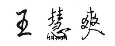 駱恆光王慧爽行書個性簽名怎么寫