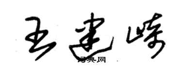 朱錫榮王建崎草書個性簽名怎么寫