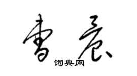 梁錦英曹晨草書個性簽名怎么寫