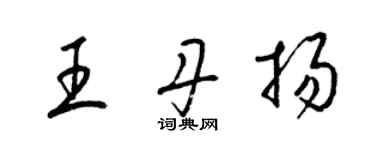 梁錦英王丹揚草書個性簽名怎么寫