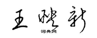 梁錦英王映新草書個性簽名怎么寫