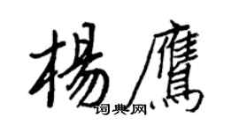 王正良楊鷹行書個性簽名怎么寫