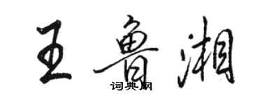 駱恆光王魯湘行書個性簽名怎么寫