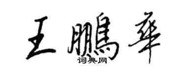 王正良王鵬華行書個性簽名怎么寫