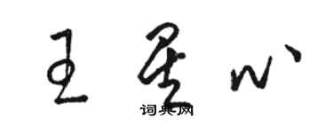 駱恆光王星心草書個性簽名怎么寫