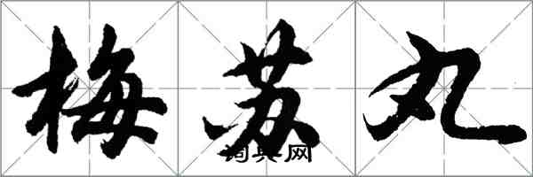 胡問遂梅蘇丸行書怎么寫