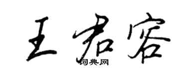 王正良王君容行書個性簽名怎么寫