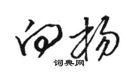 駱恆光向楊草書個性簽名怎么寫