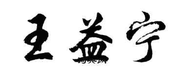 胡問遂王益寧行書個性簽名怎么寫