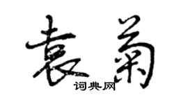 曾慶福袁菊行書個性簽名怎么寫