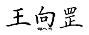 丁謙王向罡楷書個性簽名怎么寫