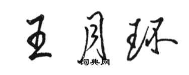 駱恆光王月環行書個性簽名怎么寫