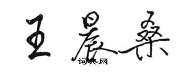 駱恆光王晨桑行書個性簽名怎么寫