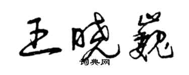 曾慶福王曉巍草書個性簽名怎么寫