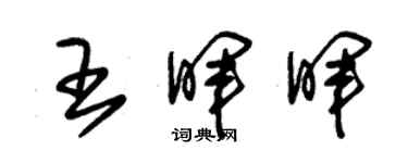 朱錫榮王暉暉草書個性簽名怎么寫