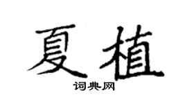 袁強夏植楷書個性簽名怎么寫