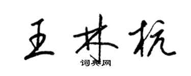 梁錦英王林杭草書個性簽名怎么寫