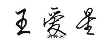 駱恆光王愛星行書個性簽名怎么寫