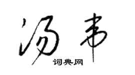 梁錦英湯韋草書個性簽名怎么寫