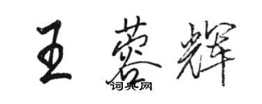 駱恆光王蓉輝行書個性簽名怎么寫